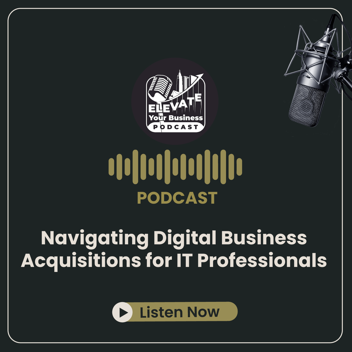 Elevate Your Business Podcast